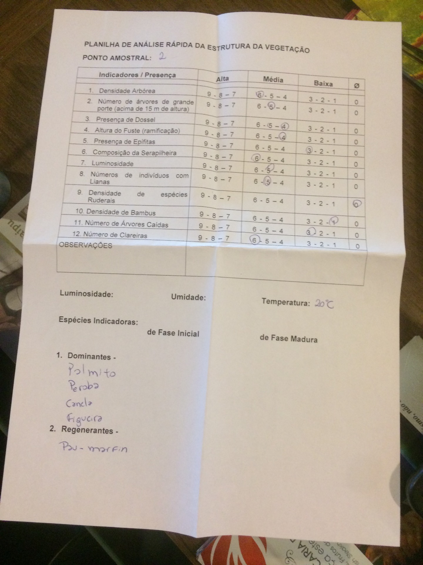 Atividade Prática Céu Azul